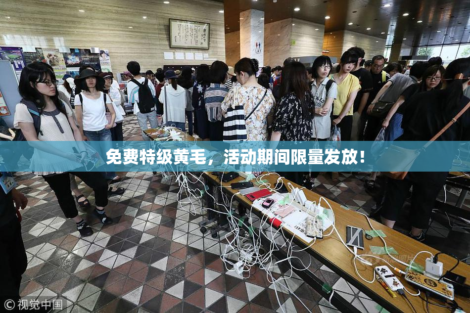 免费特级黄毛，活动期间限量发放！