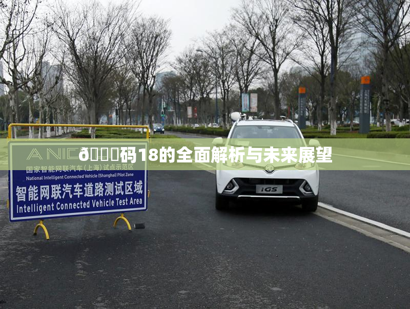 🈚码18的全面解析与未来展望