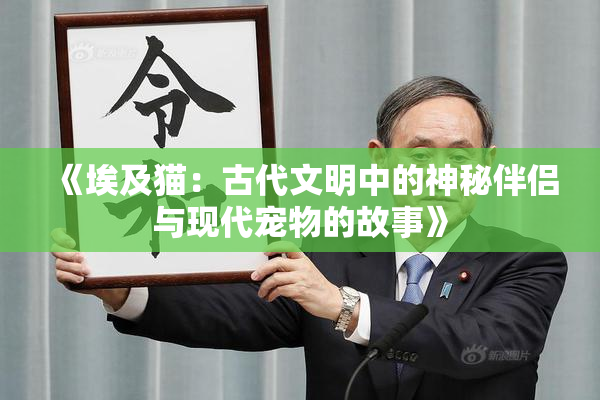 《埃及猫：古代文明中的神秘伴侣与现代宠物的故事》