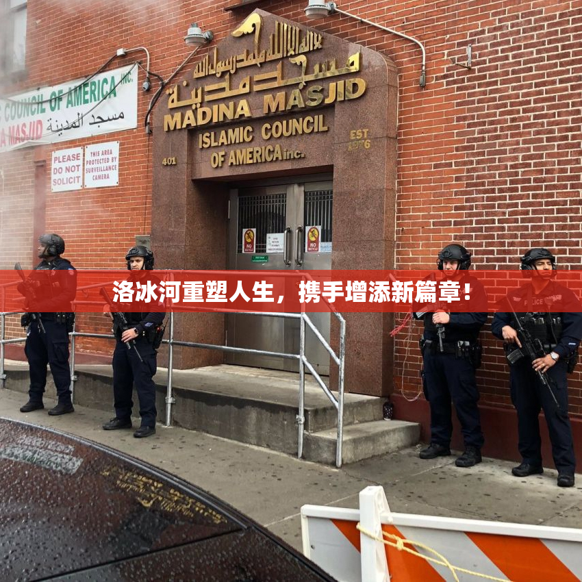 洛冰河重塑人生，携手增添新篇章！
