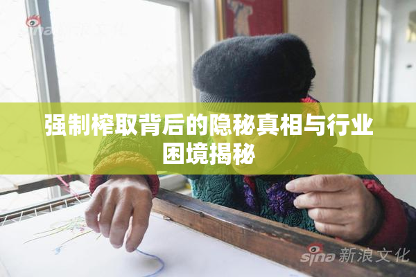 强制榨取背后的隐秘真相与行业困境揭秘