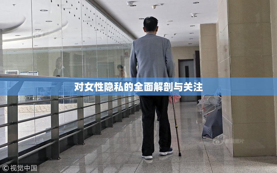 对女性隐私的全面解剖与关注