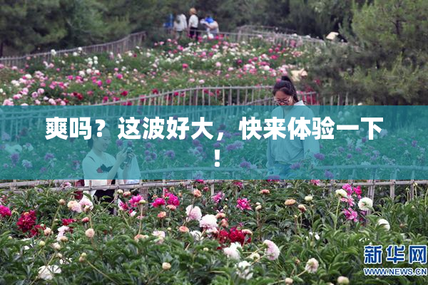 爽吗？这波好大，快来体验一下！
