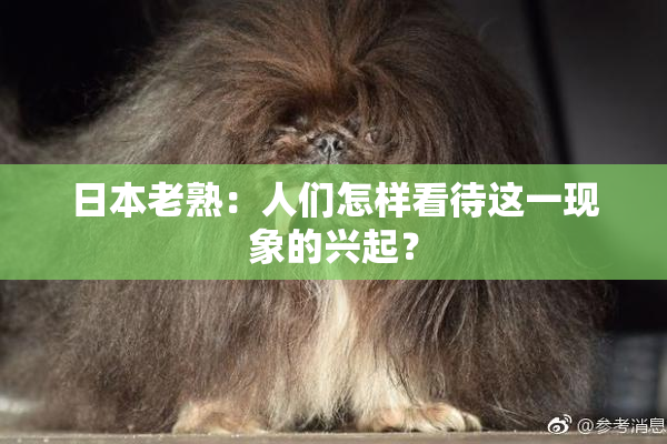 日本老熟：人们怎样看待这一现象的兴起？