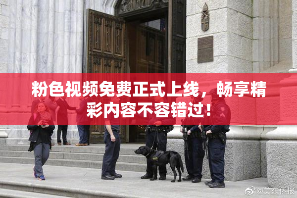 粉色视频免费正式上线，畅享精彩内容不容错过！