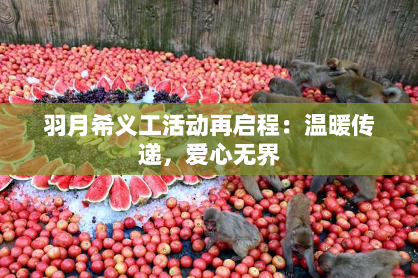 羽月希义工活动再启程：温暖传递，爱心无界