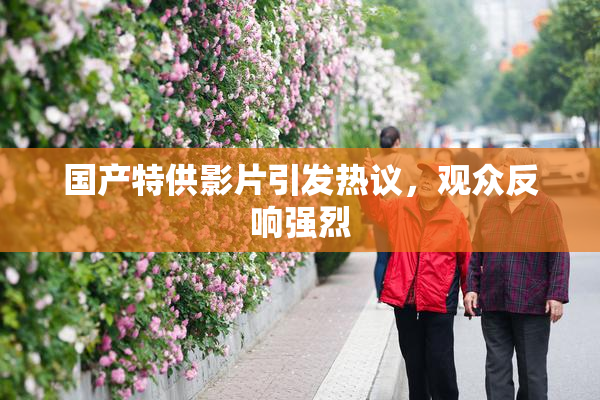 国产特供影片引发热议，观众反响强烈