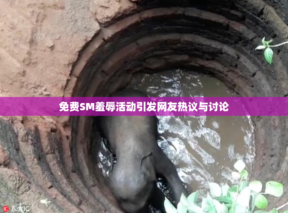 免费SM羞辱活动引发网友热议与讨论