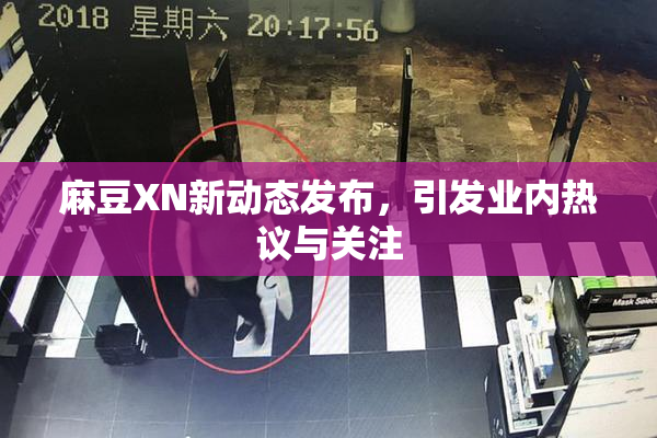 麻豆XN新动态发布，引发业内热议与关注