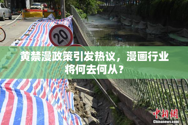 黄禁漫政策引发热议，漫画行业将何去何从？