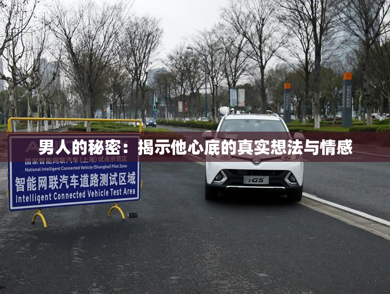 男人的秘密：揭示他心底的真实想法与情感