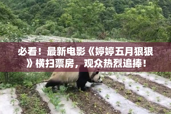 必看！最新电影《婷婷五月狠狠》横扫票房，观众热烈追捧！