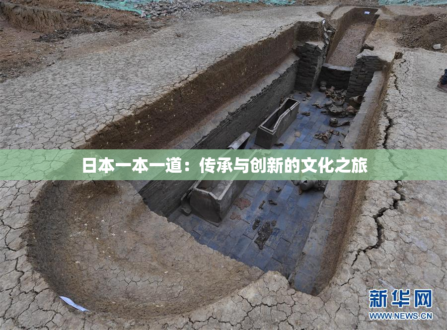日本一本一道：传承与创新的文化之旅