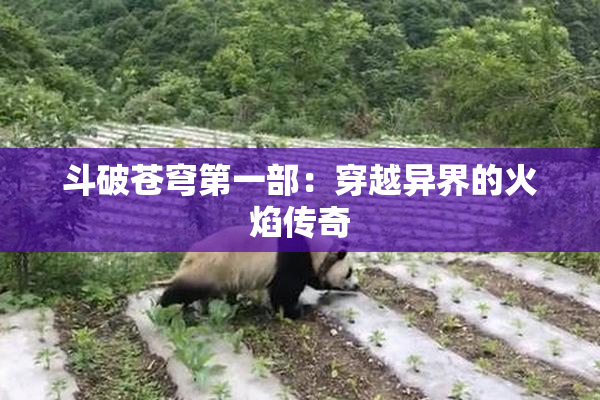斗破苍穹第一部：穿越异界的火焰传奇