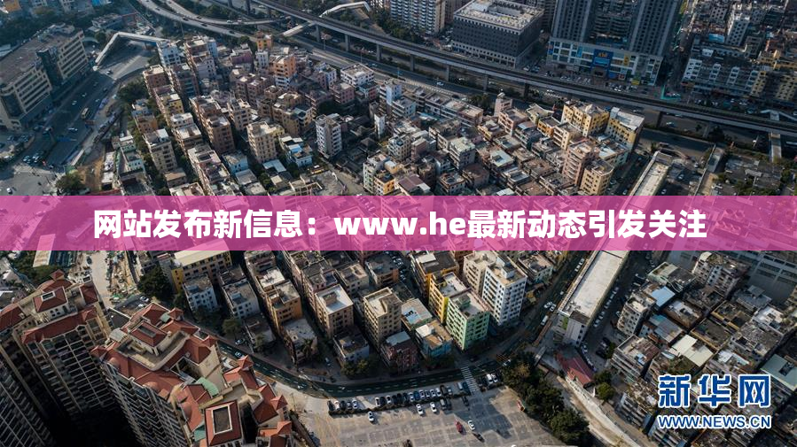 网站发布新信息：www.he最新动态引发关注