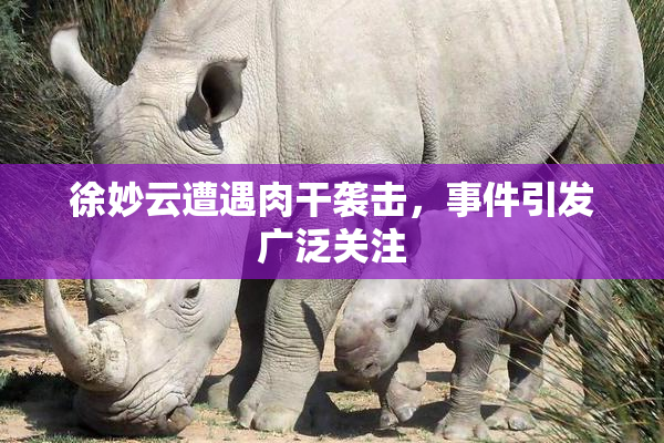 徐妙云遭遇肉干袭击，事件引发广泛关注