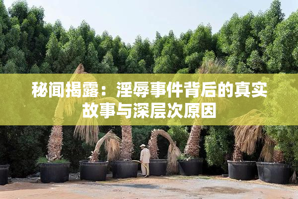 秘闻揭露：淫辱事件背后的真实故事与深层次原因