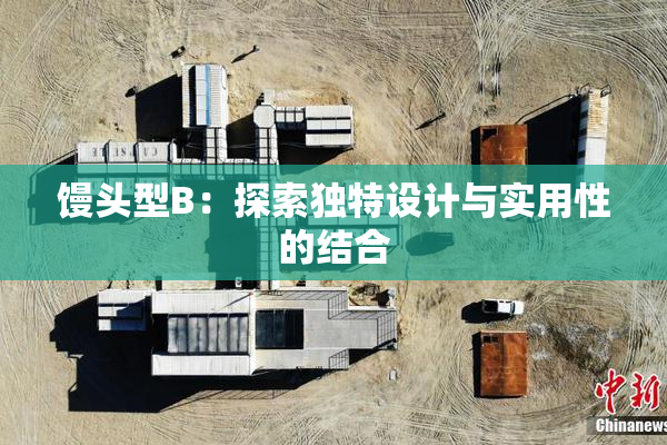 馒头型B：探索独特设计与实用性的结合