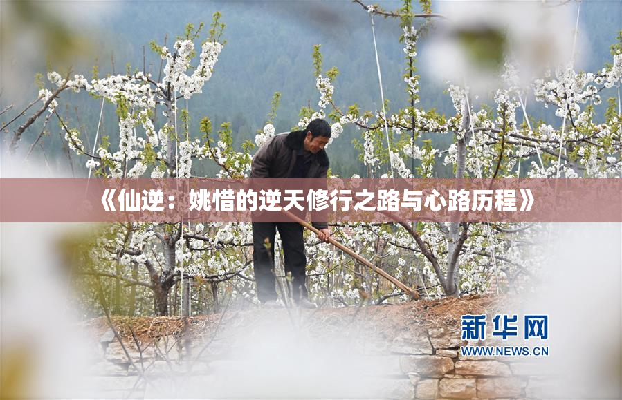 《仙逆：姚惜的逆天修行之路与心路历程》