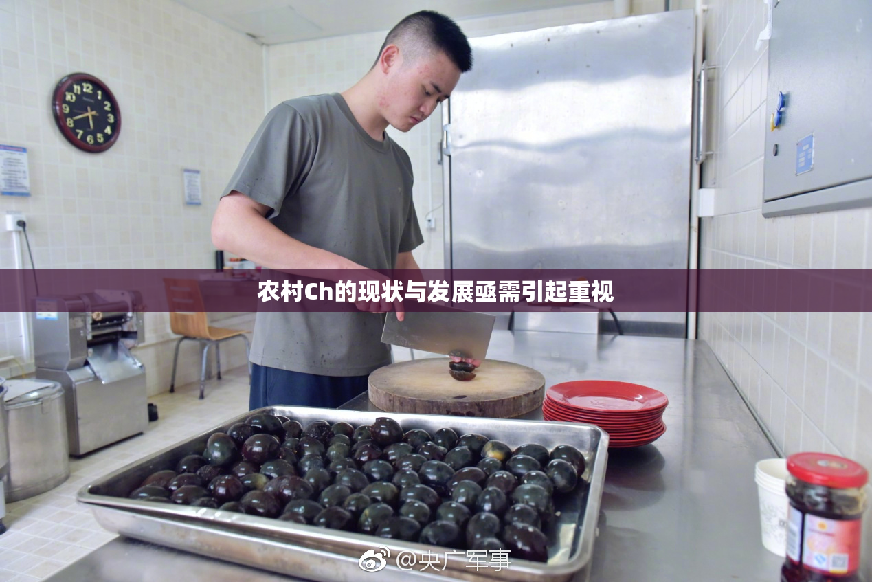 农村Ch的现状与发展亟需引起重视