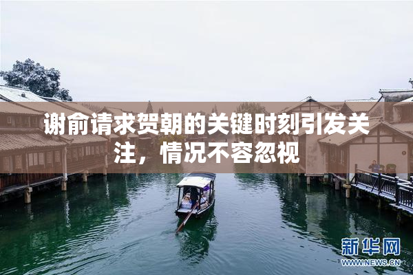 谢俞请求贺朝的关键时刻引发关注，情况不容忽视