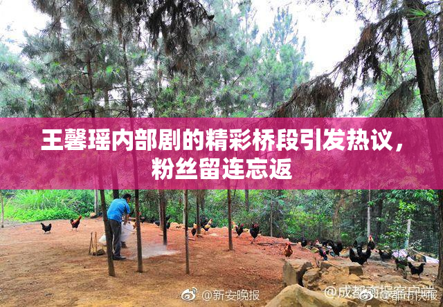 王馨瑶内部剧的精彩桥段引发热议，粉丝留连忘返