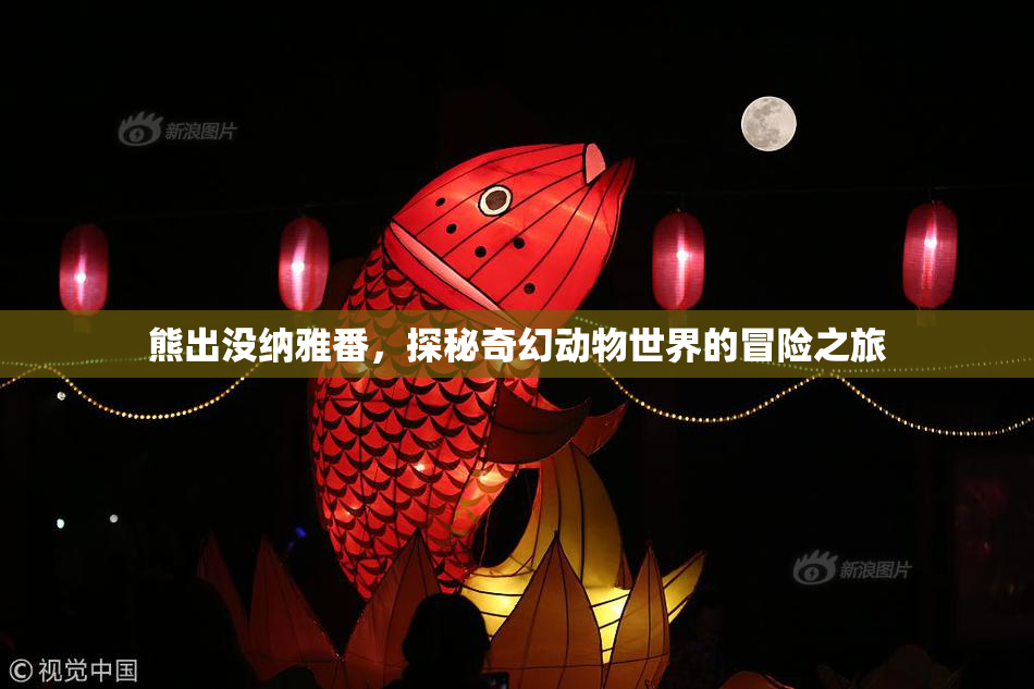 熊出没纳雅番，探秘奇幻动物世界的冒险之旅