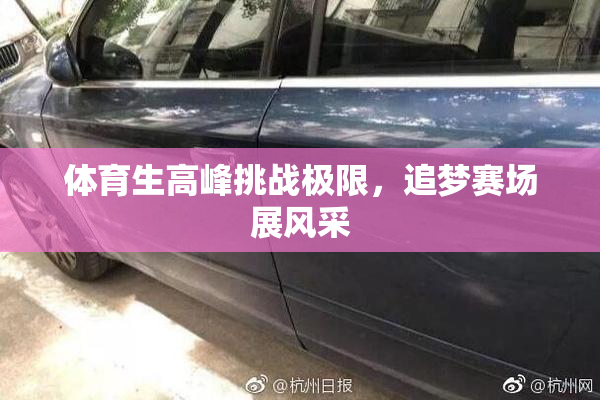 体育生高峰挑战极限，追梦赛场展风采