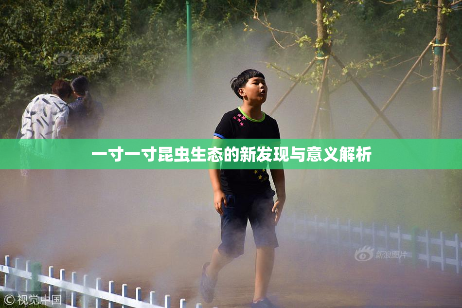 一寸一寸昆虫生态的新发现与意义解析