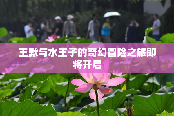 王默与水王子的奇幻冒险之旅即将开启
