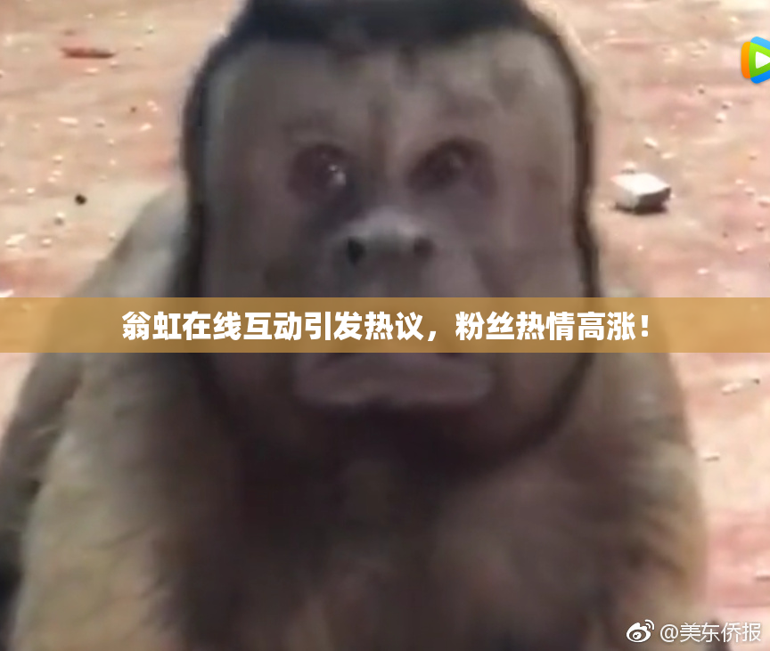 翁虹在线互动引发热议，粉丝热情高涨！