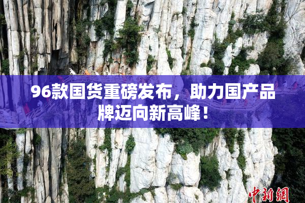 96款国货重磅发布，助力国产品牌迈向新高峰！