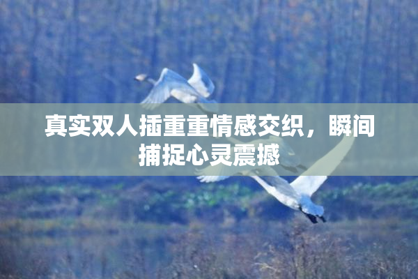 真实双人插重重情感交织，瞬间捕捉心灵震撼
