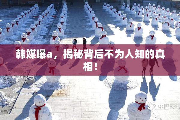 韩媒曝a，揭秘背后不为人知的真相！