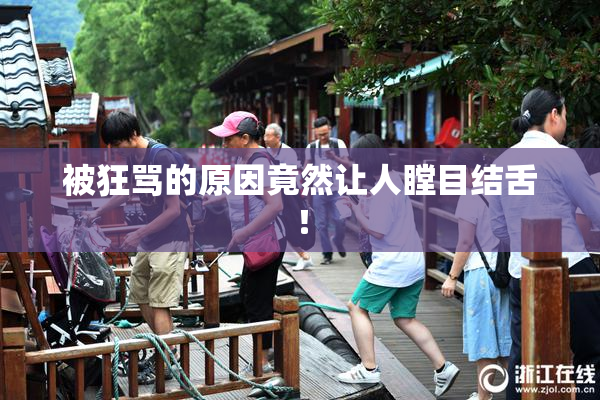 被狂骂的原因竟然让人瞠目结舌！