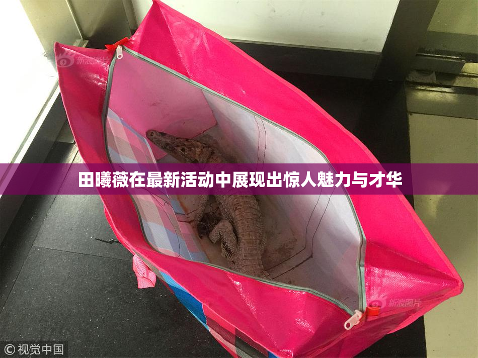 田曦薇在最新活动中展现出惊人魅力与才华