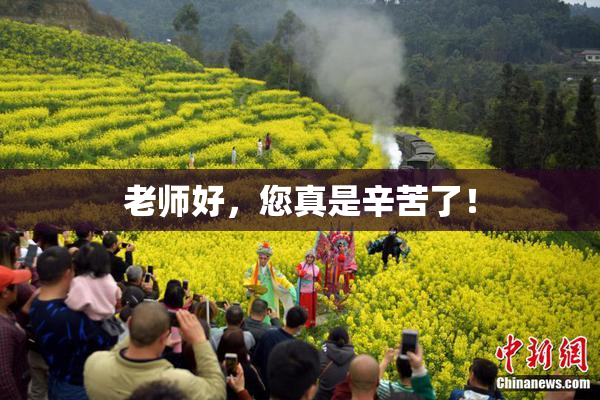 老师好，您真是辛苦了！