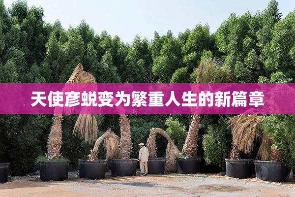 天使彦蜕变为繁重人生的新篇章