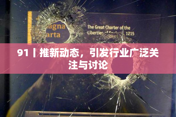 91丨推新动态，引发行业广泛关注与讨论