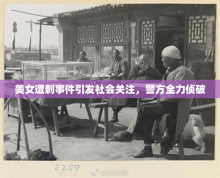 美女遭刺事件引发社会关注，警方全力侦破