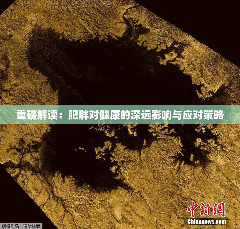 重磅解读：肥胖对健康的深远影响与应对策略
