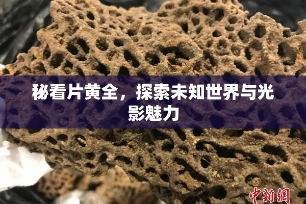 秘看片黄全，探索未知世界与光影魅力