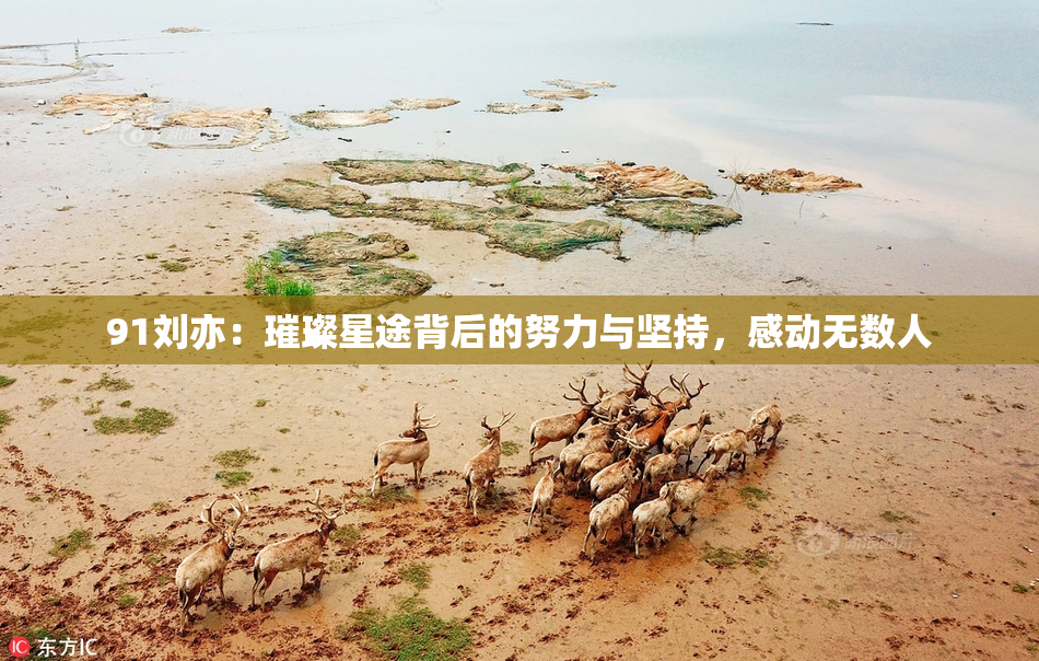 91刘亦：璀璨星途背后的努力与坚持，感动无数人