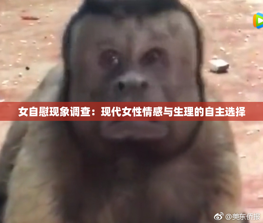 女自慰现象调查：现代女性情感与生理的自主选择