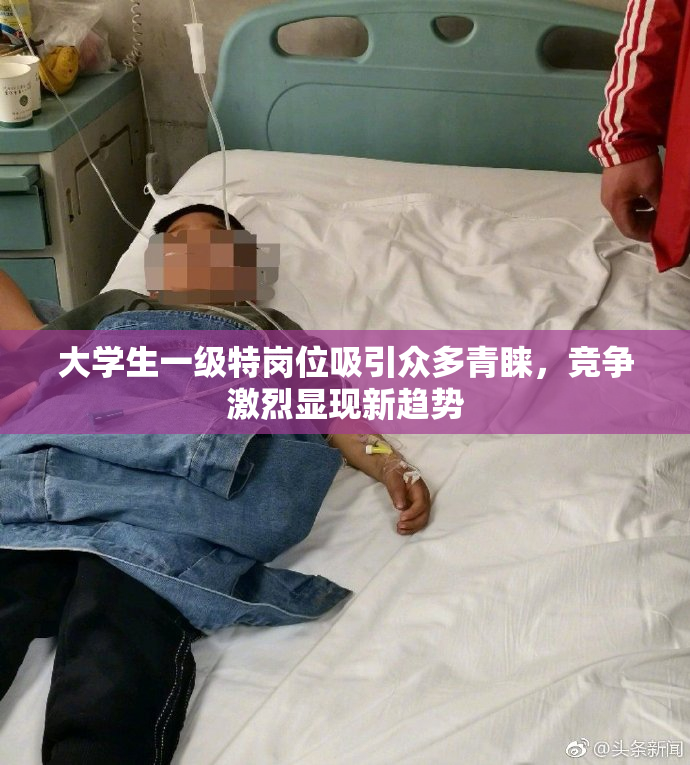 大学生一级特岗位吸引众多青睐，竞争激烈显现新趋势
