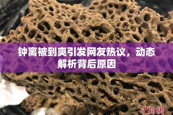 钟离被到爽引发网友热议，动态解析背后原因