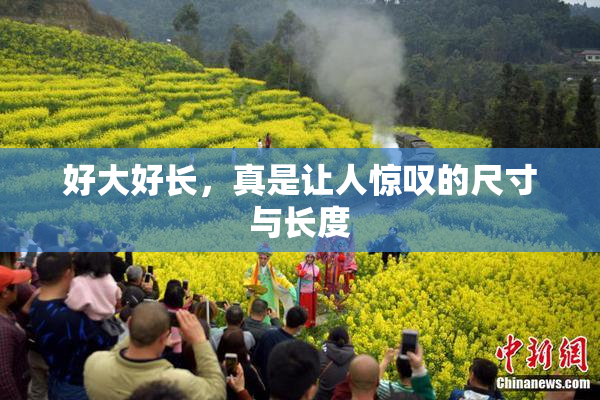 好大好长，真是让人惊叹的尺寸与长度