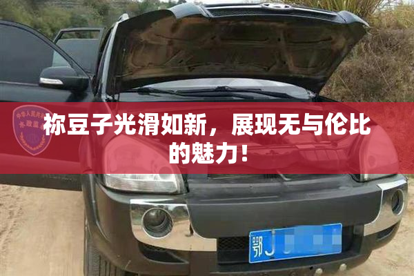 祢豆子光滑如新，展现无与伦比的魅力！