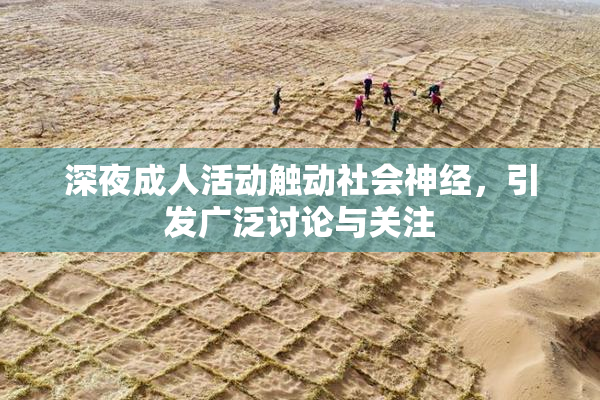 深夜成人活动触动社会神经，引发广泛讨论与关注
