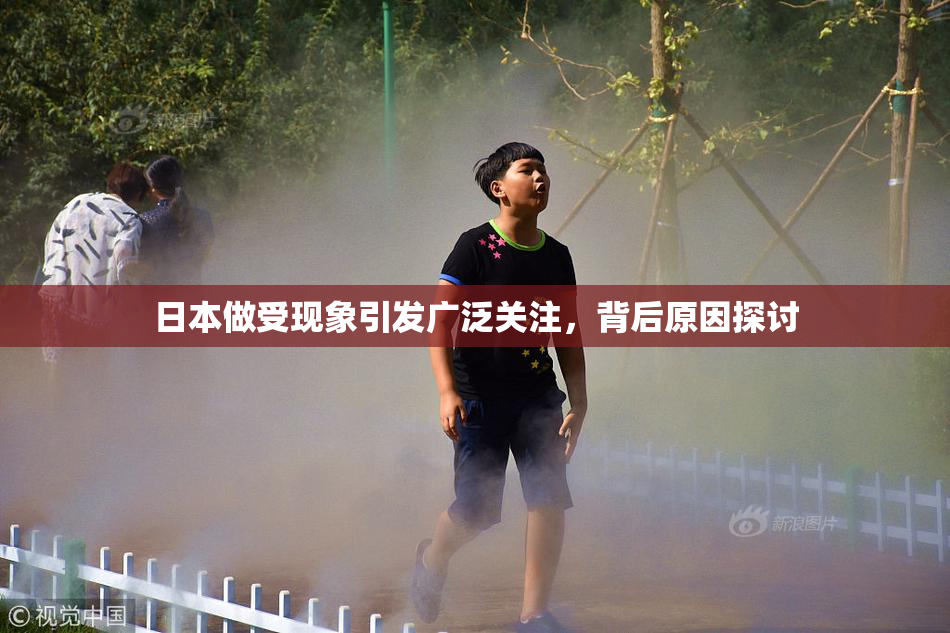 日本做受现象引发广泛关注，背后原因探讨